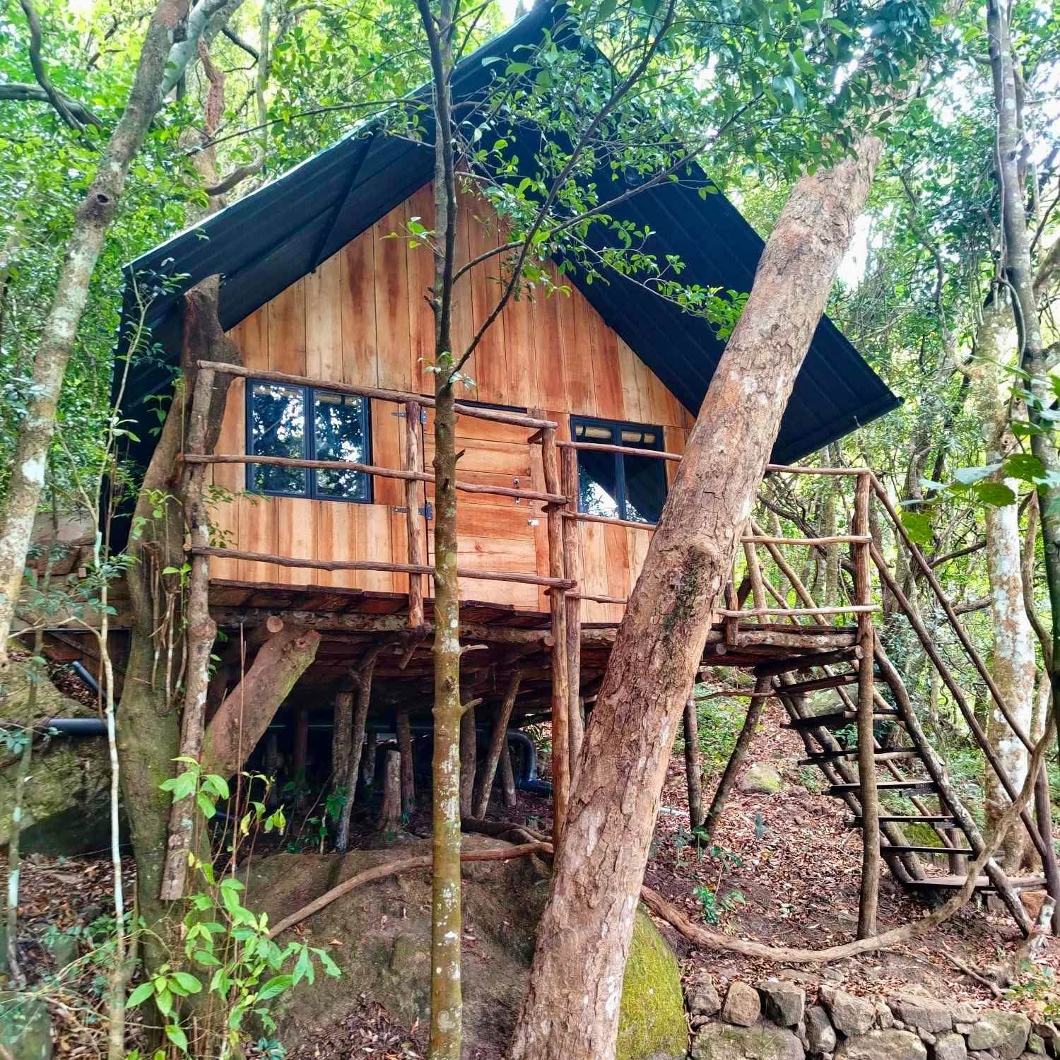 Timber Cabana Exterior